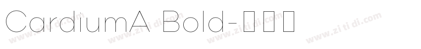 CardiumA Bold字体转换